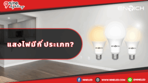 แสงมีกี่ประเภท